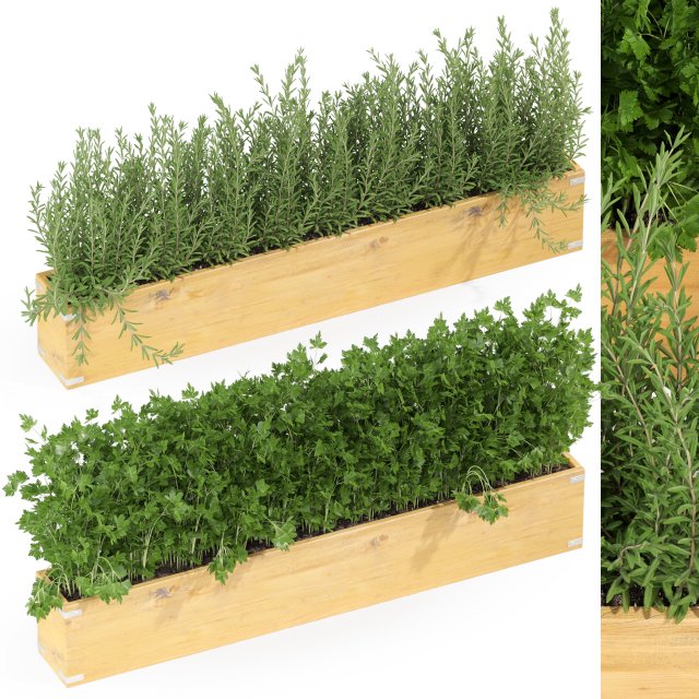 Plants collection 286 3Dモデル .c4d .max .obj .3ds .fbx .stl .blend 