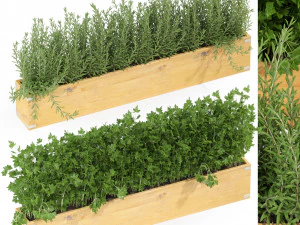 Cole&ccedil;&atilde;o de plantas 286 Modelo 3D