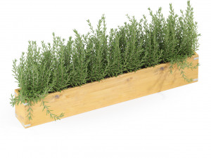 Plants collection 286 3Dモデル