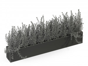 Plants collection 286 3Dモデル