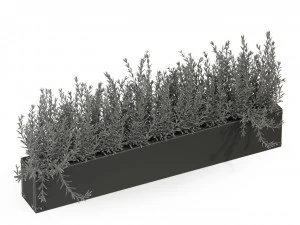 Plants collection 286 3D Model