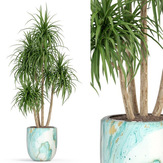 Plants collection 287 3D Model .c4d .max .obj .3ds .fbx .stl .blend 
