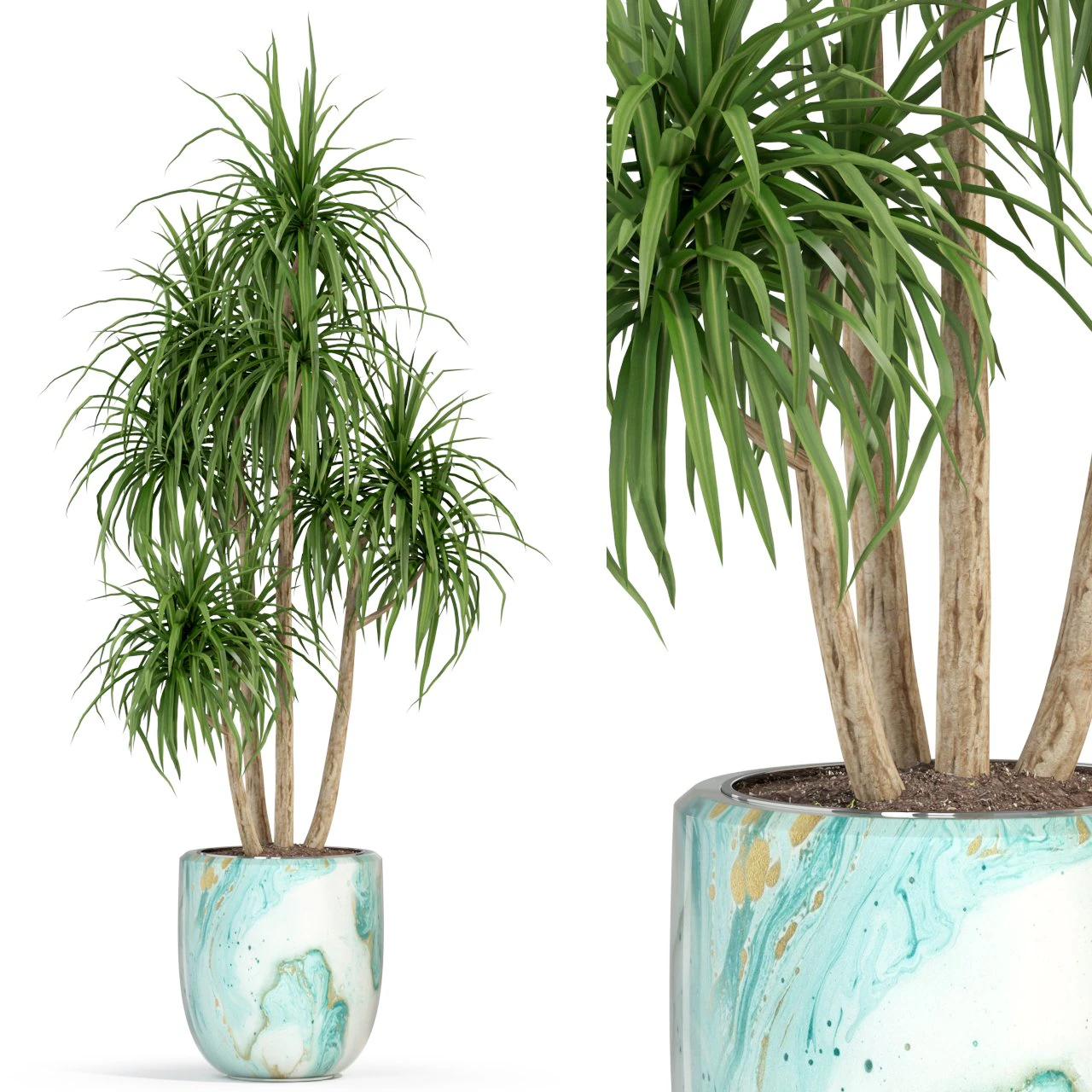Plants collection 287 3D Model .c4d .max .obj .3ds .fbx .stl .blend 