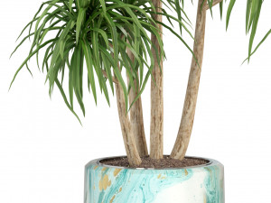 Plants collection 287 3D Model