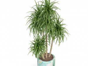 Plants collection 287 3D Model