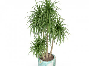 Plants collection 287 3D Model