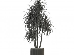Plants collection 287 3D Model