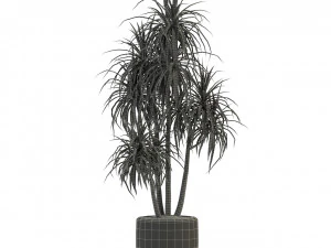 Plants collection 287 3D Model