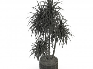 Plants collection 287 3D Model