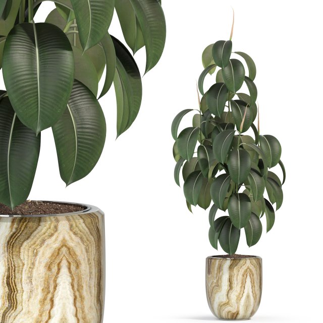 Plants collection 288 3D 모델 .c4d .max .obj .3ds .fbx .stl .blend