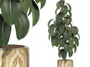 Colecci&oacute;n de plantas 288 Modelo 3D