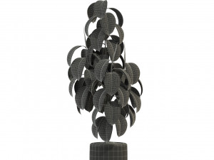 Plants collection 288 3D 모델