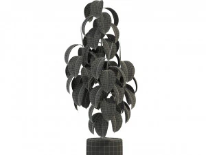 Plants collection 288 3D Model