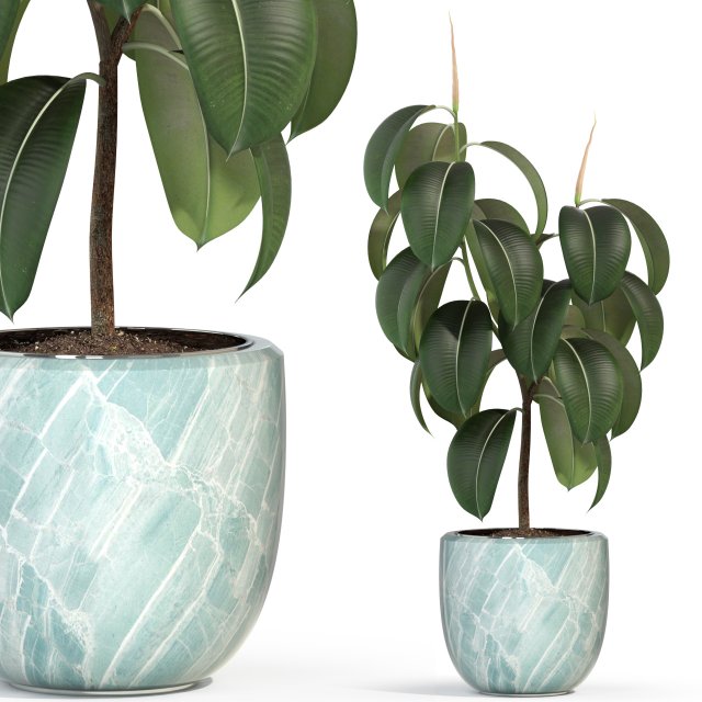 Plants collection 289 Model 3D .c4d .max .obj .3ds .fbx .stl .blend