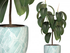 Plants collection 289 3D Model