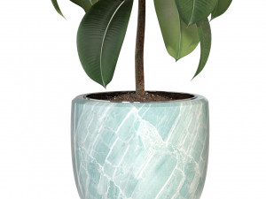 Plants collection 289 Model 3D