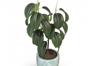 Plants collection 289 Model 3D