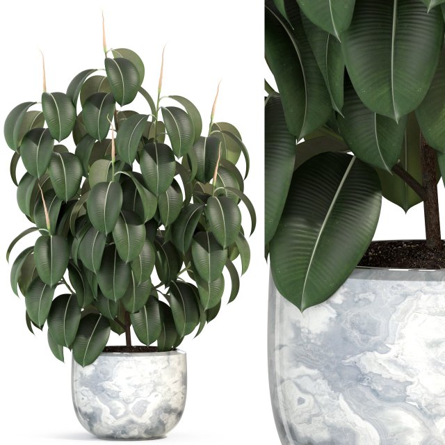 Plants collection 290 3D Модель .c4d .max .obj .3ds .fbx .stl .blend 