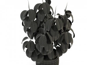 Plants collection 290 3D Model