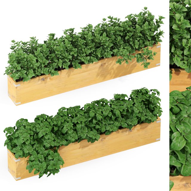 Plants collection 291 3D Модель .c4d .max .obj .3ds .fbx .stl .blend 