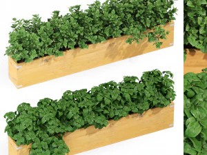 Cole&ccedil;&atilde;o de plantas 291 Modelo 3D