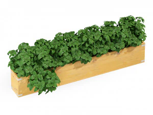 Plants collection 291 3D Model