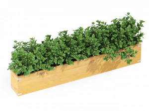 Plants collection 291 3D Model