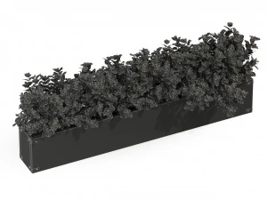 Plants collection 291 3D Model