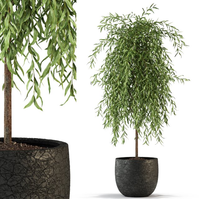 Plants collection 292 Modello 3D .c4d .max .obj .3ds .fbx .stl .blend 
