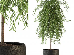 Cole&ccedil;&atilde;o de plantas 292 Modelo 3D