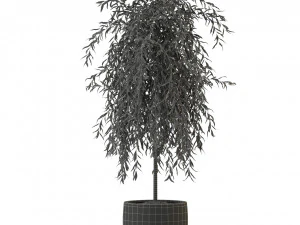 Plants collection 292 3D Model