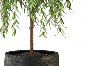Plants collection 292 3D Model