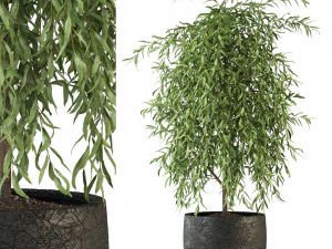 पौधों का संग्रह 293 3D मॉडल