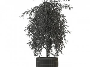 Bitki koleksiyonu 293 3D Model