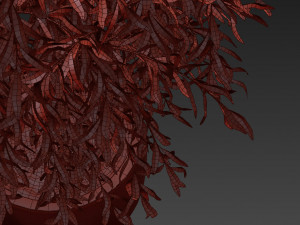 Plants collection 293 3D Model