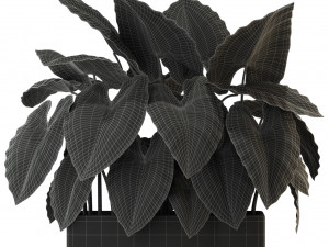 Plants collection 294 3D Model