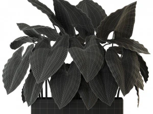 Kolekcja roślin 294 Model 3D