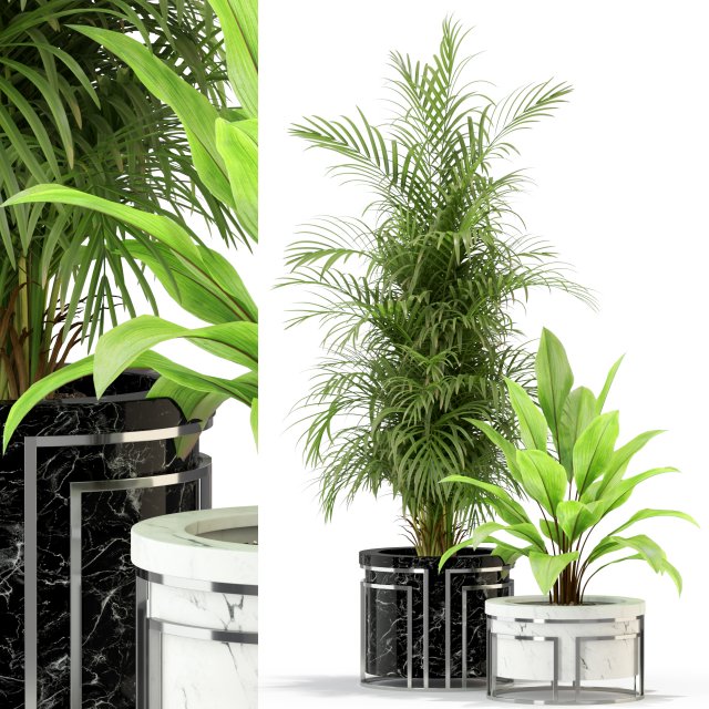 Plants collection 295 3D Model .c4d .max .obj .3ds .fbx .stl .blend 