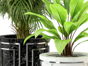 Plants collection 295 3D Model