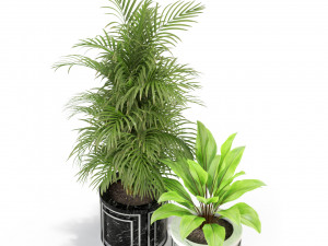 Plants collection 295 3D Model