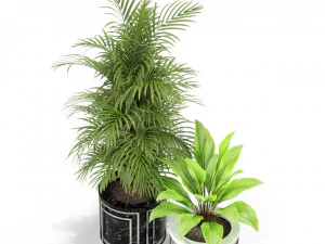 Plants collection 295 3D Model