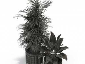Plants collection 295 3D Model