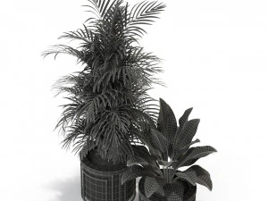Plants collection 295 3D Model