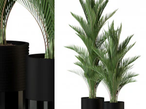 Cole&ccedil;&atilde;o de plantas 296 Modelo 3D