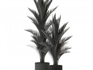 Plants collection 296 Model 3D
