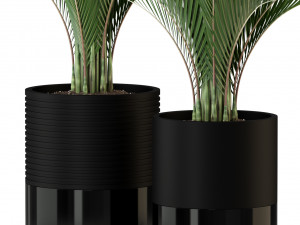 Plants collection 296 Model 3D