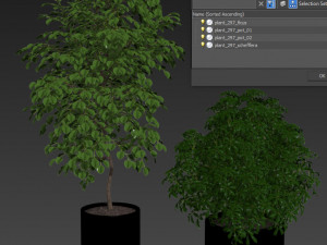 Plants collection 297 Modelo 3D
