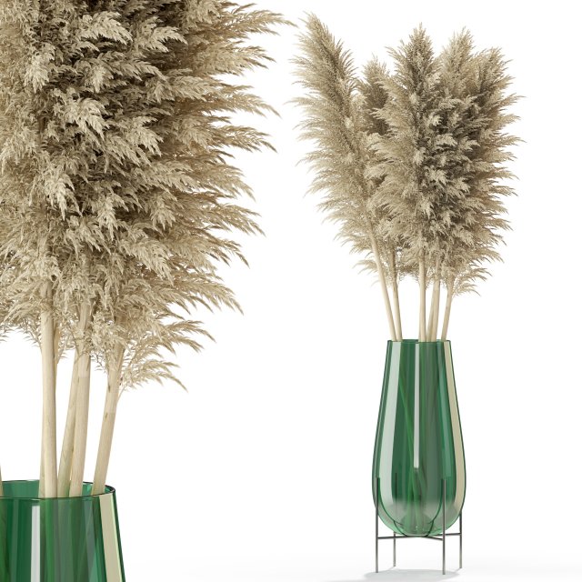 Plants collection 298 3D Модель .c4d .max .obj .3ds .fbx .stl .blend 