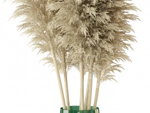 Plants collection 298 3D Model