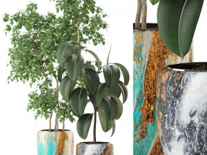 Kolekcja roślin 299 Model 3D